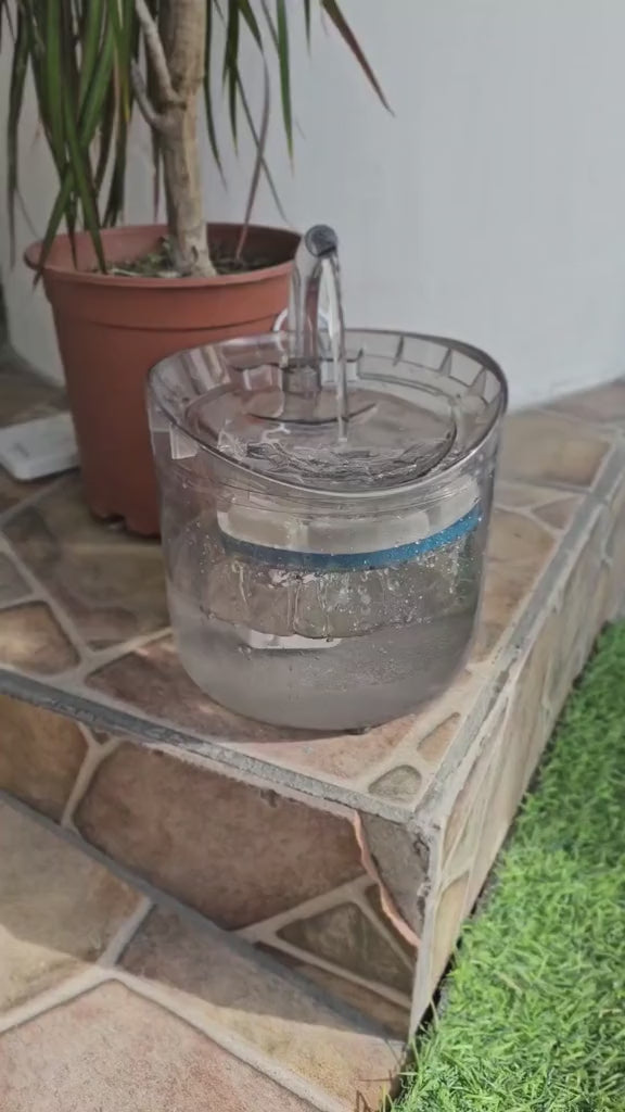 Fuente para Mascotas Automatica.